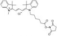 Cy3 NHS 活化酯化学结构